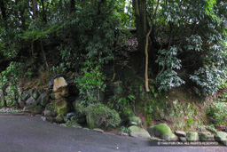 旧料亭内にあった起伏 | 高解像度画像サイズ:2859 x 1906 pixels | 写真番号:241-4133_IMG | 撮影:Canon EOS D60