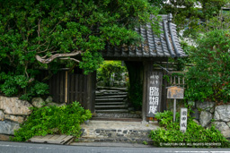 旧料亭「臨湖庵」 | 高解像度画像サイズ:2905 x 1937 pixels | 写真番号:241-4135_IMG | 撮影:Canon EOS D60