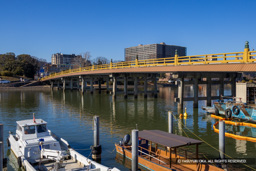 瀬田の唐橋 | 高解像度画像サイズ：8192 x 5464 pixels | 写真番号：344A7964 | 撮影：Canon EOS R5