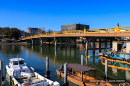 瀬田の唐橋 | 高解像度画像サイズ：8192 x 5464 pixels | 写真番号：344A7966 | 撮影：Canon EOS R5