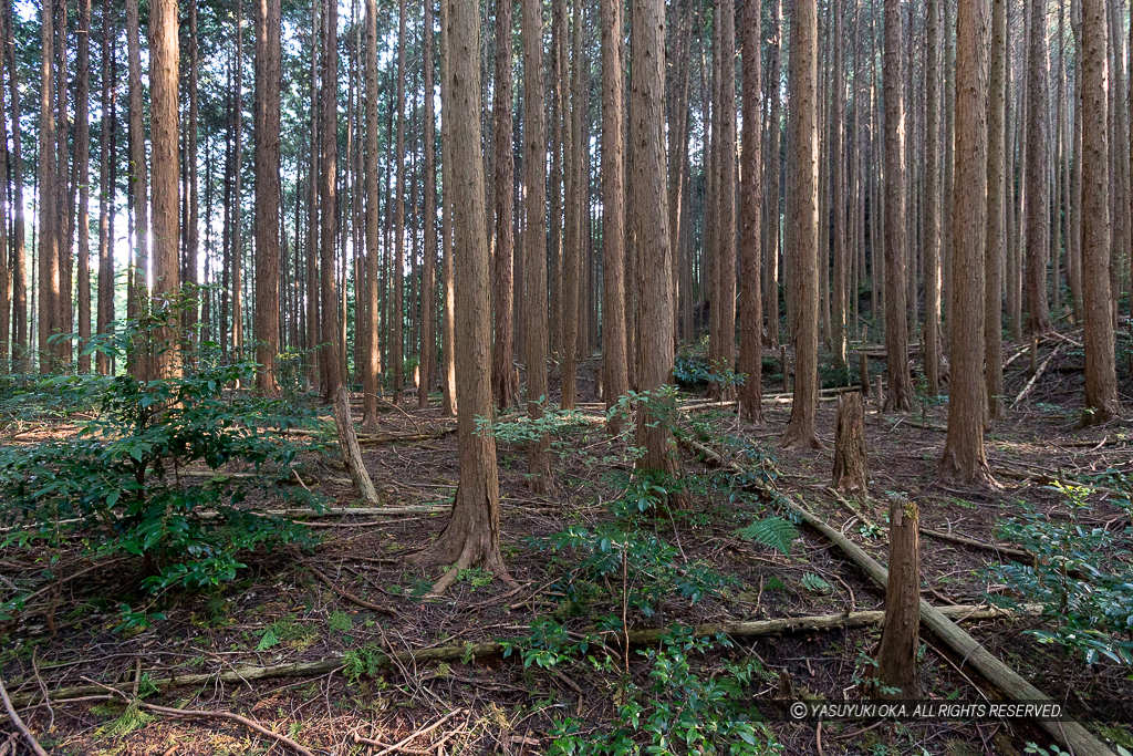 松永屋敷