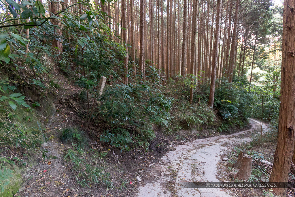 松永屋敷への登り口