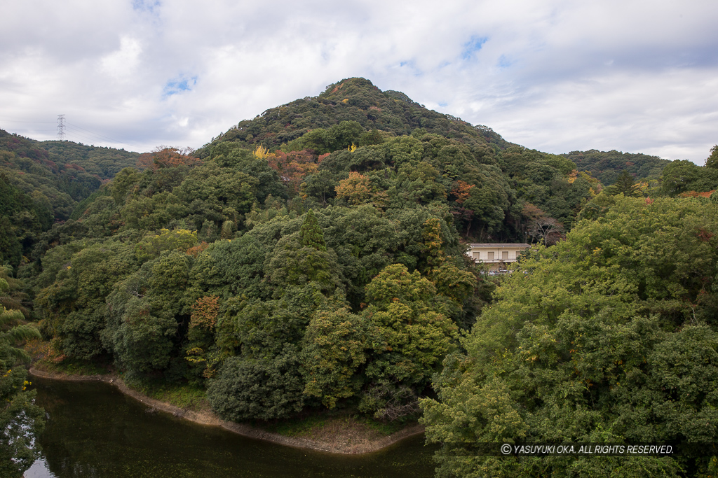 信貴山城遠景