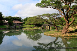 識名園｜高解像度画像サイズ：8688 x 5792 pixels｜写真番号：5DSA8074｜撮影：Canon EOS 5DS