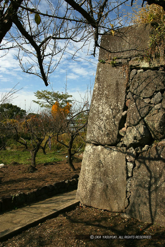 縦石・本丸内