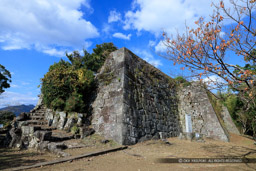 本丸東面石垣｜高解像度画像サイズ：8192 x 5464 pixels｜写真番号：344A6215｜撮影：Canon EOS R5