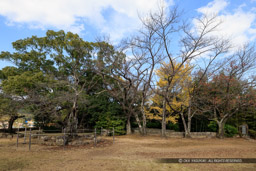 本丸｜高解像度画像サイズ：8192 x 5464 pixels｜写真番号：344A6224｜撮影：Canon EOS R5