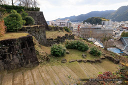 新宮城大手道｜高解像度画像サイズ：8192 x 5464 pixels｜写真番号：344A6302｜撮影：Canon EOS R5