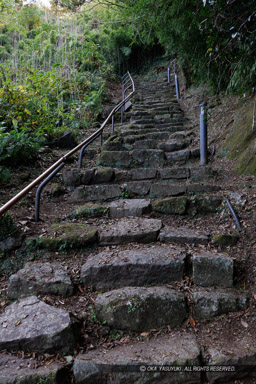 水ノ手に至る道｜高解像度画像サイズ：5464 x 8192 pixels｜写真番号：344A6307｜撮影：Canon EOS R5