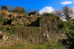 松ノ丸を望む｜高解像度画像サイズ：8192 x 5464 pixels｜写真番号：344A6333｜撮影：Canon EOS R5