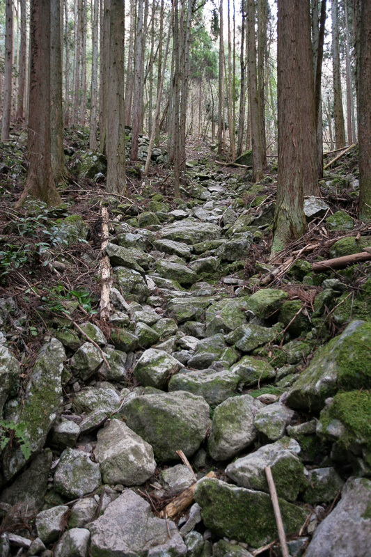 登山道