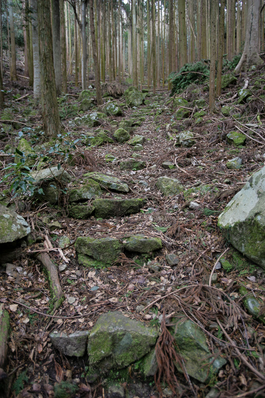 登山道