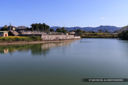 鷺池（西側の沼跡） | 高解像度画像サイズ：8192 x 5464 pixels | 写真番号：344A4750 | 撮影：Canon EOS R5