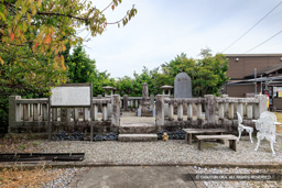 十河一存・存保の墓 | 高解像度画像サイズ：8192 x 5464 pixels | 写真番号：6F1A0398 | 撮影：Canon EOS R5m2