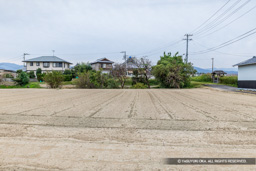 二の丸跡から本丸跡を望む | 高解像度画像サイズ：8192 x 5464 pixels | 写真番号：6F1A0450 | 撮影：Canon EOS R5m2