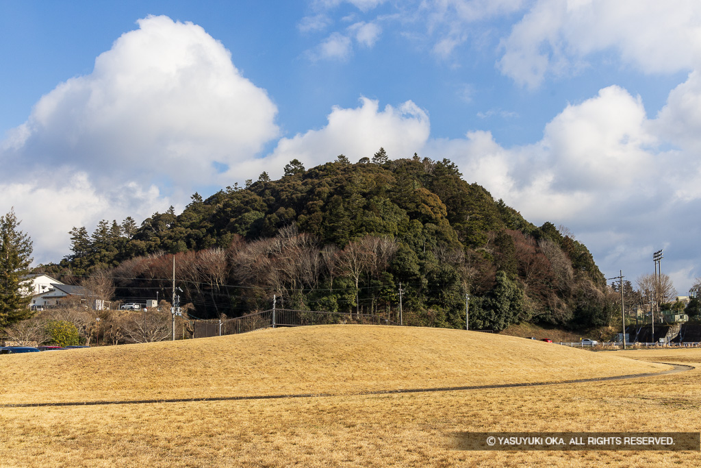 小麦山