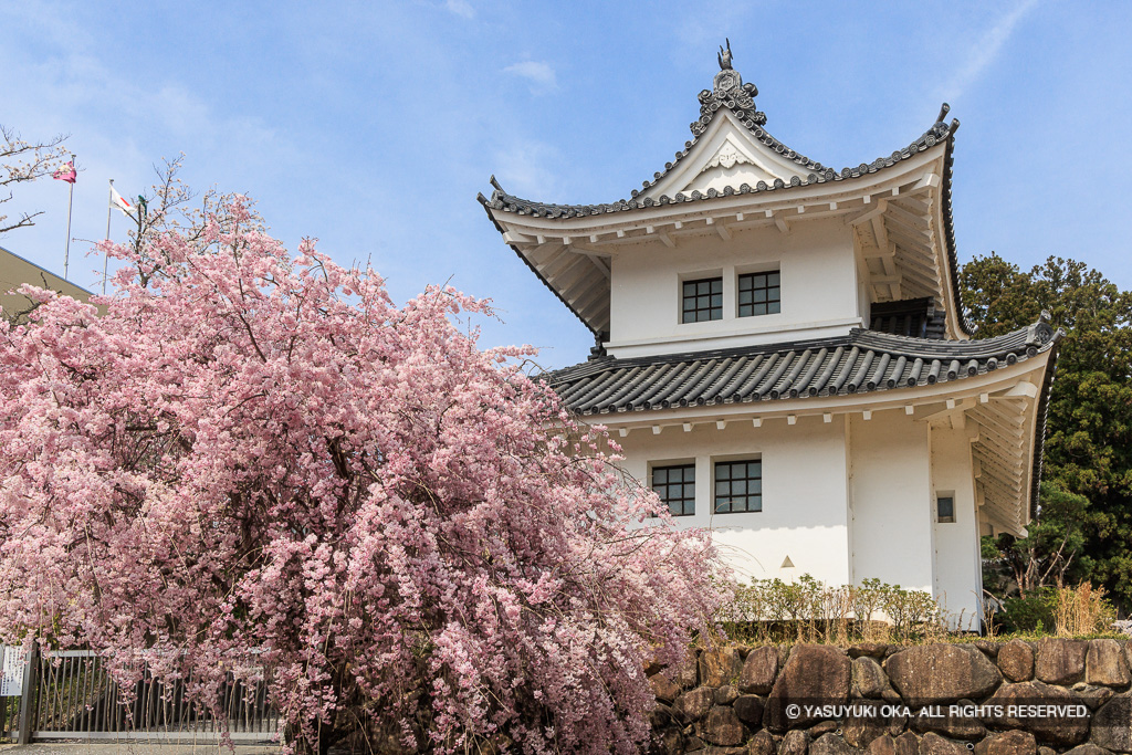 園部城本丸巽櫓（春の桜）