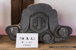 軒鬼瓦・雲（小出家家紋・亀甲に小の字） | 高解像度画像サイズ：7301 x 4873 pixels | 写真番号：344A4986 | 撮影：Canon EOS R5