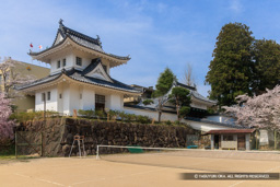 本丸巽櫓と櫓門（春の桜） | 高解像度画像サイズ：7587 x 5061 pixels | 写真番号：344A9388 | 撮影：Canon EOS R5