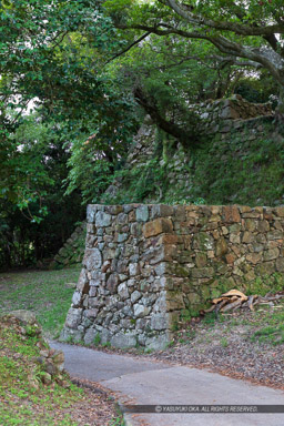 南の丸隅櫓跡付近の虎口跡|高解像度画像サイズ:4480 x 6720 pixels|写真番号:_D4A2014|撮影:Canon EOS 5D Mark IV