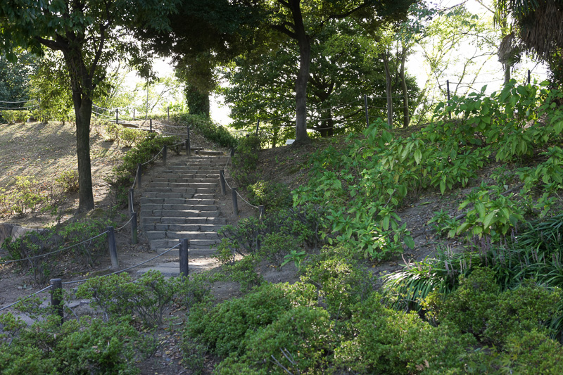 本丸西側土塁（沼田丸への通路）