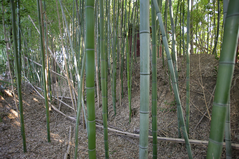 土塁・神足神社