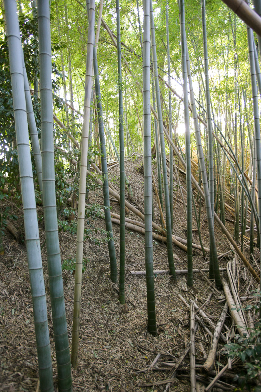 土塁・神足神社