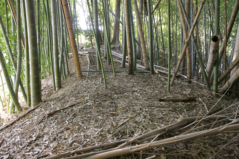 土塁・神足神社