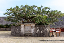 首里城の首里森御嶽｜高解像度画像サイズ：8659 x 5773 pixels｜写真番号：5DSA6509｜撮影：Canon EOS 5DS