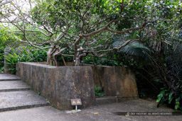 首里城の御獄・京の内｜高解像度画像サイズ：8688 x 5792 pixels｜写真番号：5DSA6467｜撮影：Canon EOS 5DS