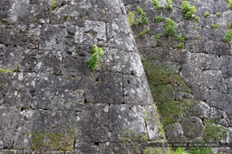 首里城の石積・布積みと相方積み｜高解像度画像サイズ：8688 x 5792 pixels｜写真番号：5DSA6375｜撮影：Canon EOS 5DS