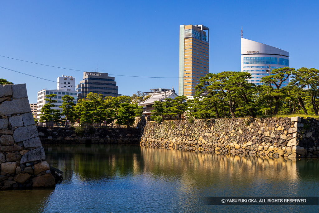 桜御門と三の丸水堀