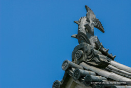 月見櫓 | 高解像度画像サイズ：3072 x 2048 pixels | 写真番号：215-1567_IMG | 撮影：Canon EOS D60