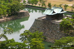 鞘橋と天守台・玉藻廟（発掘整備前） | 高解像度画像サイズ：3072 x 2048 pixels | 写真番号：231-3123_IMG | 撮影：Canon EOS D60