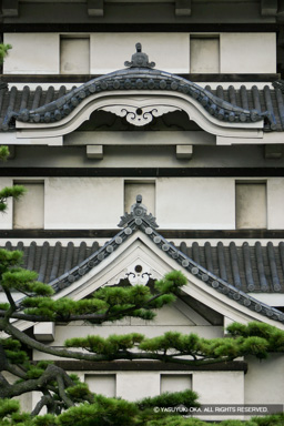 月見櫓・唐破風・切妻破風 | 高解像度画像サイズ：2048 x 3072 pixels | 写真番号：234-3411_IMG | 撮影：Canon EOS D60