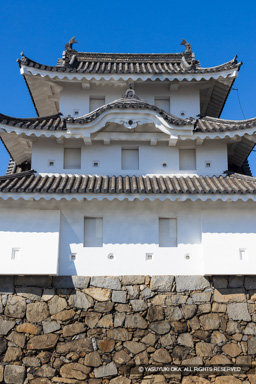 旧東之丸艮櫓 | 高解像度画像サイズ：5212 x 7813 pixels | 写真番号：344A4560 | 撮影：Canon EOS R5