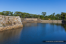 三の丸水堀 | 高解像度画像サイズ：8192 x 5464 pixels | 写真番号：344A4563 | 撮影：Canon EOS R5