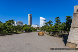桜の馬場から天守 | 高解像度画像サイズ：7663 x 5111 pixels | 写真番号：344A4569 | 撮影：Canon EOS R5