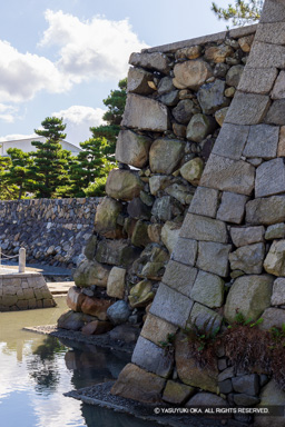 二様の石垣 | 高解像度画像サイズ：5365 x 8043 pixels | 写真番号：344A4670 | 撮影：Canon EOS R5