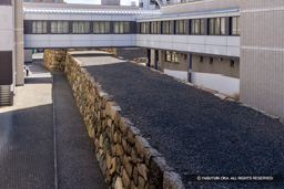 東の丸石垣・城内側 | 高解像度画像サイズ：8192 x 5464 pixels | 写真番号：344A4702 | 撮影：Canon EOS R5