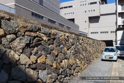 東の丸石垣・城外側 | 高解像度画像サイズ：8192 x 5464 pixels | 写真番号：344A4726 | 撮影：Canon EOS R5