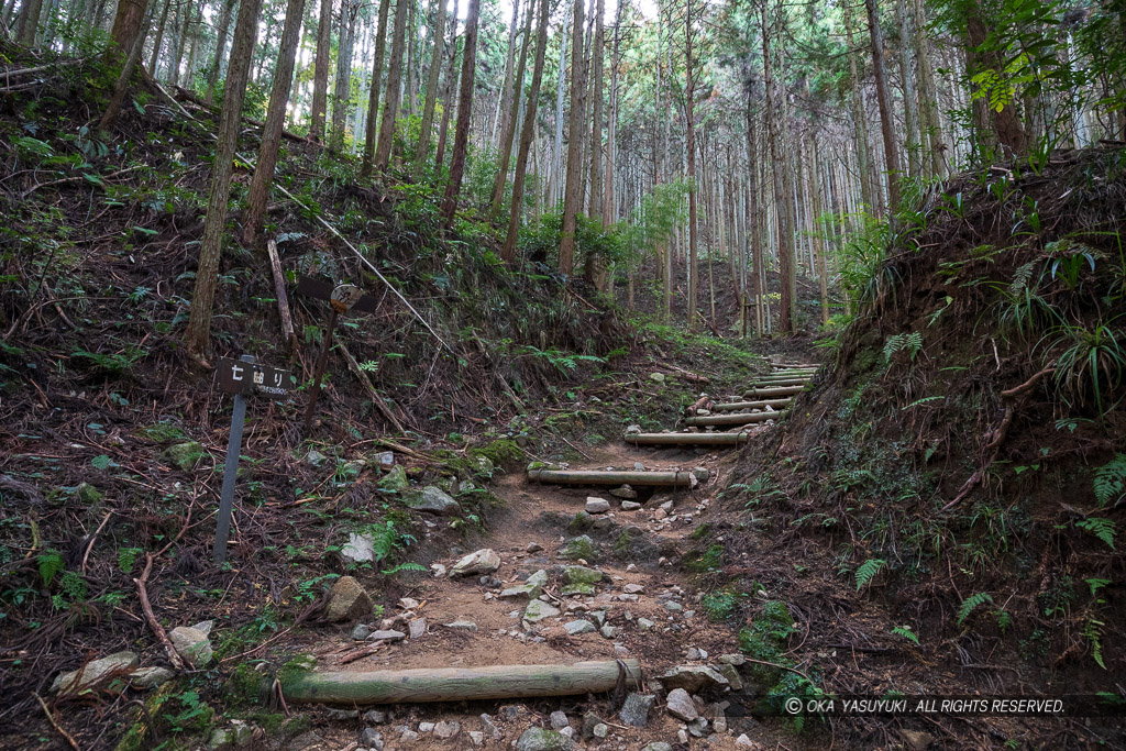 大手道