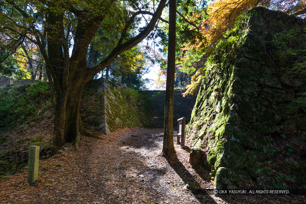 大手門跡・紅葉