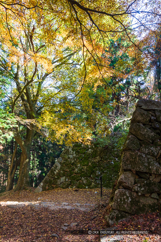 大手門跡・紅葉