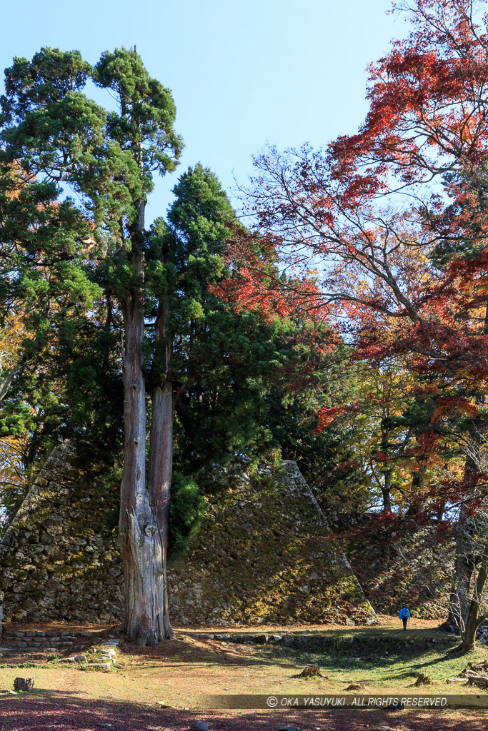 高取城の紅葉・天守台