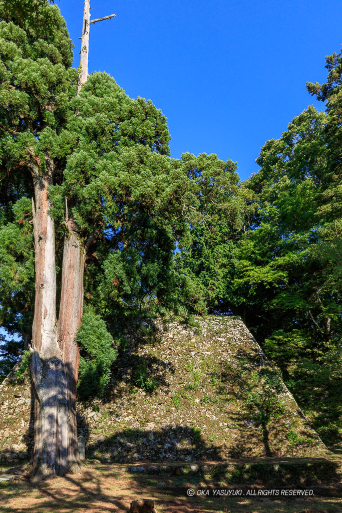 新緑の高取城・天守台