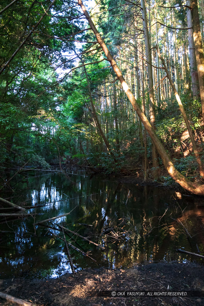 高取城の水堀・高取川源流