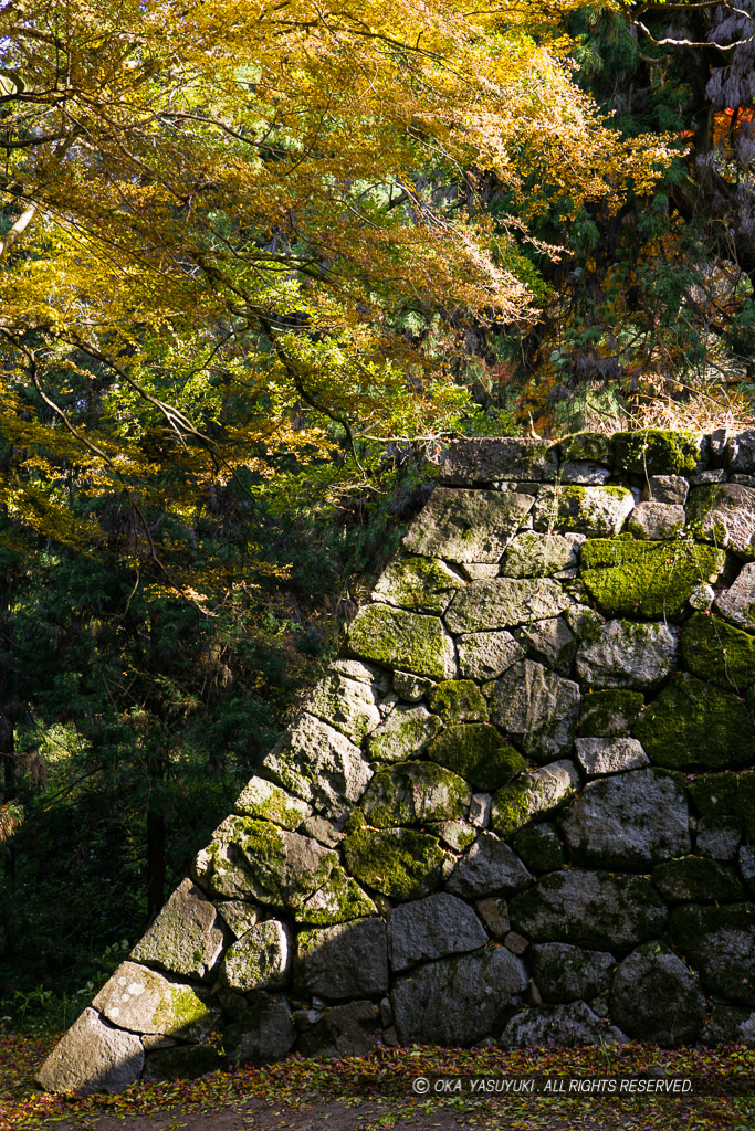 大手門跡の石垣風景・紅葉