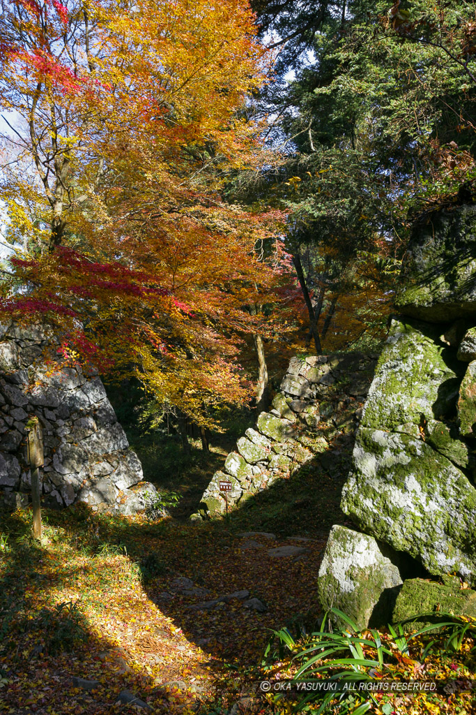 大手門跡の石垣風景・紅葉