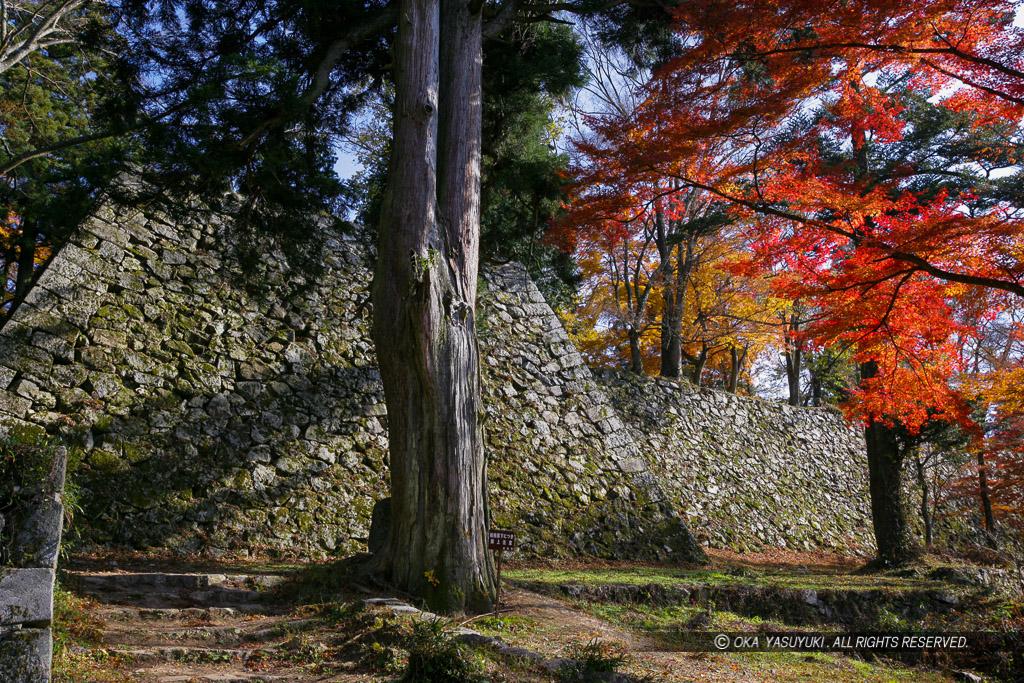 大和高取城の紅葉・天守台